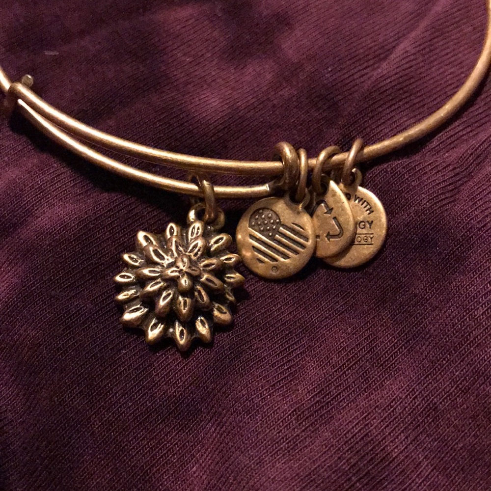 Alex and ani bracelet